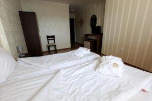 Comfort Double Room with Bath room in Hotel Nikol