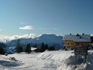 Hotels Hotel Restaurant 