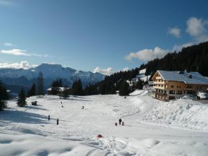 Hotels Hotel Restaurant 