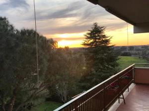 Green view apartment