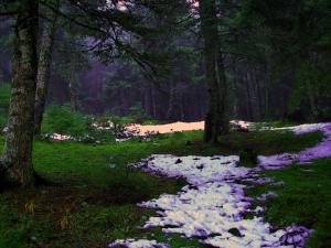 Althaia Orini-Nafpaktia Greece