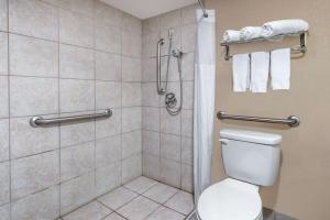 King Room with Roll-in Shower - Mobility Access/Non-Smoking room in Days Inn by Wyndham Albion