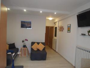 Apartments Marko Novigrad 