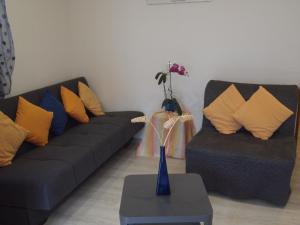 Apartments Marko Novigrad 