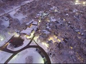 Bindi - Alpine Getawayss Chalet at Tower Rd