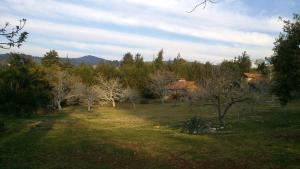 Cabañas La Tierra Grande