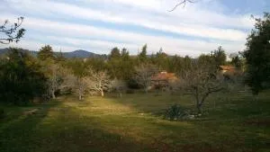 蒂拉格兰德酒店 - Jicotapa