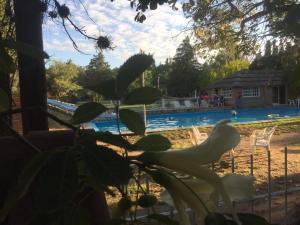 Complejo de Cabañas Pach - Flo