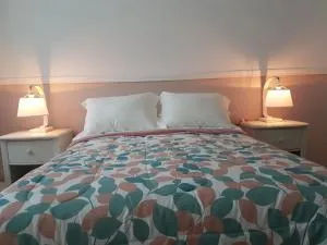 Hotel Posada Greco American Embassy - 墨西哥城