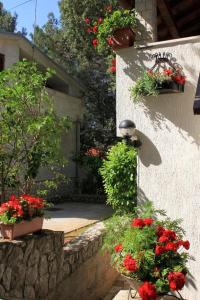 Apartment Artatore 2509a
