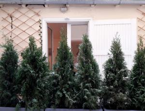 Appartements Lovers' Tiny House inside Montmartre : photos des chambres