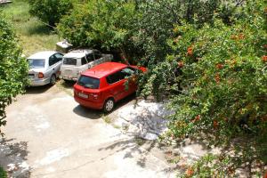 Studio Zuljana 4576a