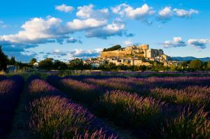 Hotels Le Clair de la Plume - Les Collectionneurs : photos des chambres