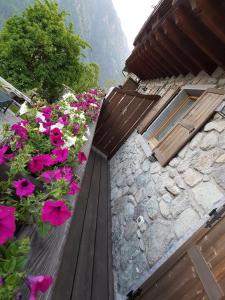 Agriturismo Ca di Racc