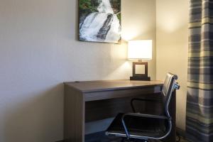 One-Bedroom King Suite - Non-Smoking room in Country Inn & Suites by Radisson Asheville Downtown Tunnel Road NC