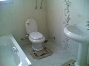 Furnished Flat in Cairo zero one zero one zero six seven nine two four four