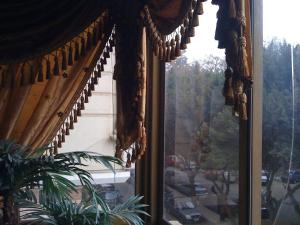 Furnished Flat in Cairo zero one zero one zero six seven nine two four four