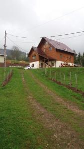 Pensiunea Aries Arieseni