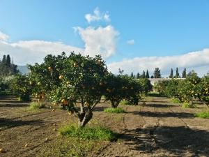 Hotel Domu Incantada img39