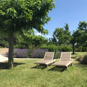 Maisons de vacances Mas Orea Sous la glycine : photos des chambres