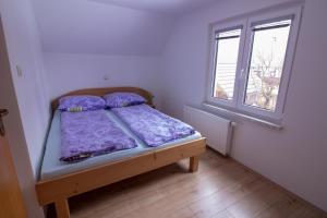 Hiška Henrik Zalokar