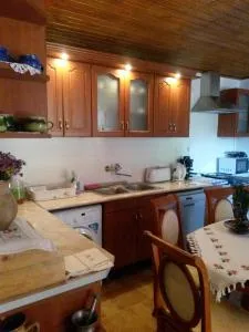 Martonyi Erdőszéli Vendégház - 科希策