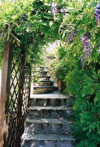 B&B / Chambres d'hotes Le Logis du Pressoir Chambre d'Hotes Bed & Breakfast in beautiful 18th Century Estate in the heart of the Loire Valley with heated pool and extensive grounds : photos des chambres