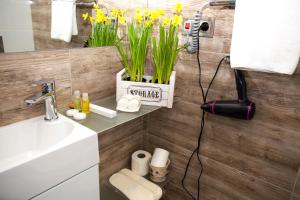 Rent of Apartments in Kharkiv