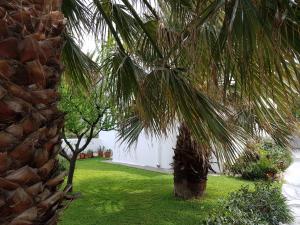 Theo's Vacation Home Skyros Greece