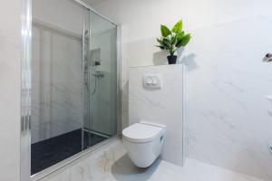 Deluxe Apartment near the Bridge 