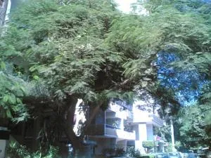 Fully Equipped ,3 BR ,centrally located flat in Mohandsseen - القاهرة