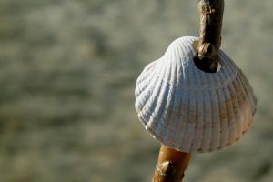 Haus am Meer