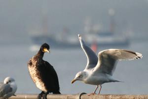 Haus am Meer