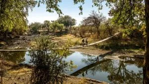 Koro Island Camp - Alldays