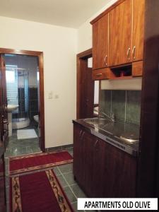 Studio Apartment room in Apartments Old Olive
