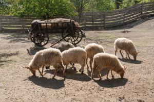 Páratlan Apartmanház