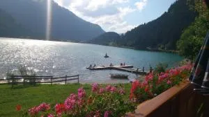 Appartementhaus Fischerstraum am Haldensee - Nesselwängle