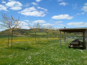 Albergue De Peregrinos Santiago Apostol