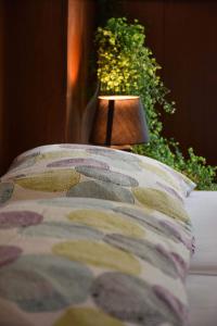 Guest House Park Žibert