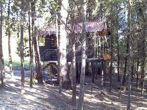 Casa En El Árbol Con Sauna somos PETFRIENDLY
