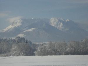 Haus Margit