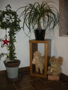 Haus Margit
