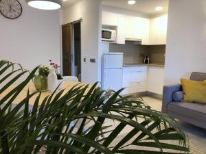 Apartaments La Palmera, Terrace & Pool