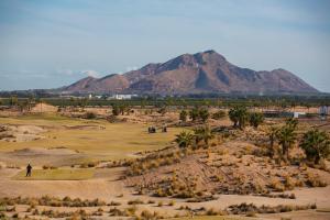 Terrazas De la Torre 533