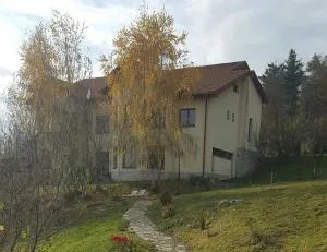 Trovanti apartment - Ciurila