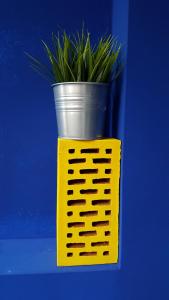 Blue Dreams Apartment