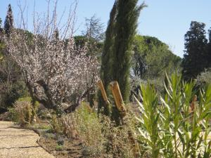 Appart'hotels Domaine du Mas Foucray : photos des chambres