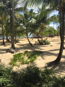 Your Second Home Away