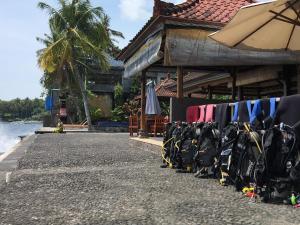 Paradise Palm Beach Bungalows and Dive Center