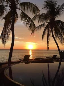 Paradise Palm Beach Bungalows and Dive Center